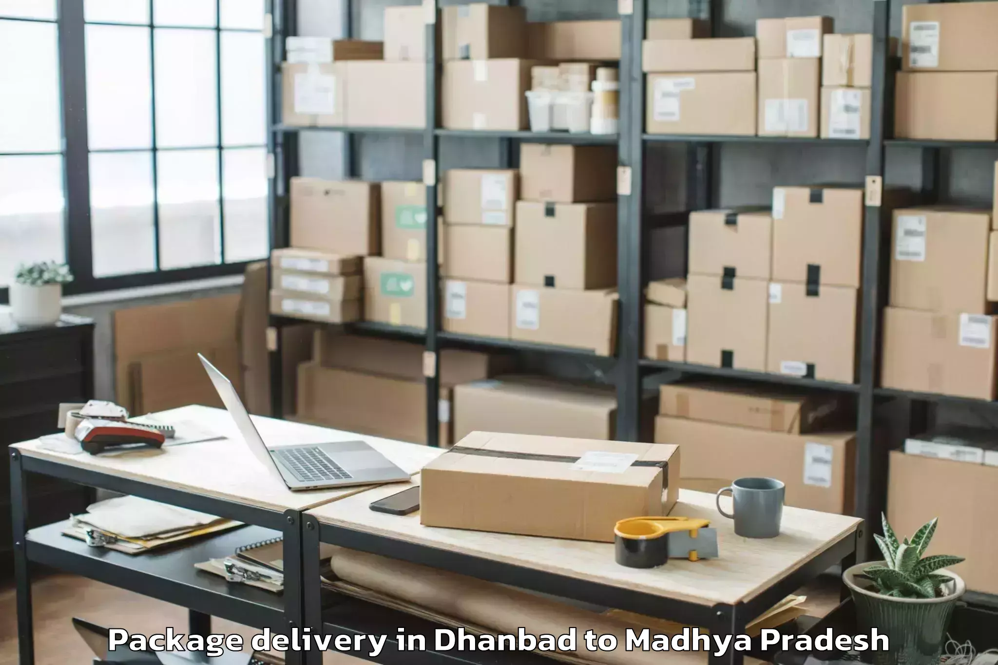 Trusted Dhanbad to Dr Harisingh Gour Vishwavidyal Package Delivery